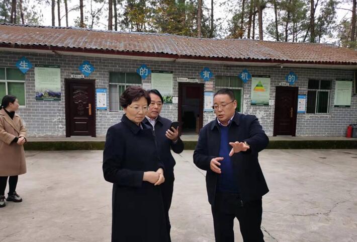 巴中市委常委，市委統(tǒng)戰(zhàn)部部長、市總工會主席溫奇志、通江縣縣委書記孫輝一行來公司調(diào)研