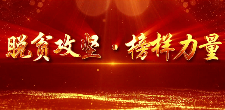 全國脫貧攻堅(jiān)總結(jié)表彰大會(huì)在北京人民大會(huì)堂隆重舉行