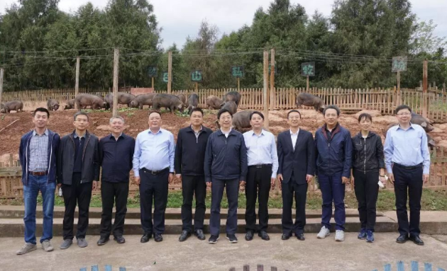 譚炯副行長一行重點(diǎn)走訪巴山牧業(yè)